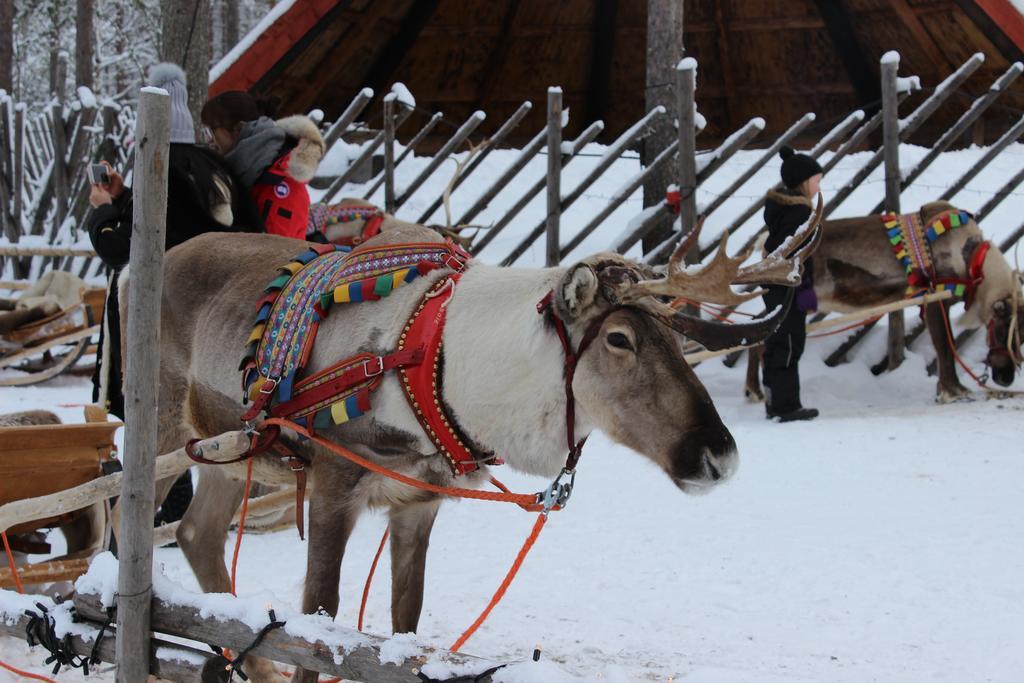 Guesthouse Arctic Heart Rovaniemi Bagian luar foto