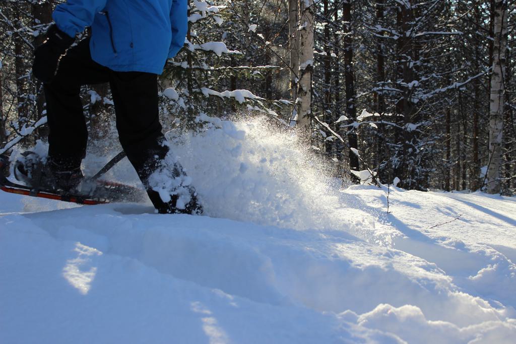 Guesthouse Arctic Heart Rovaniemi Bagian luar foto