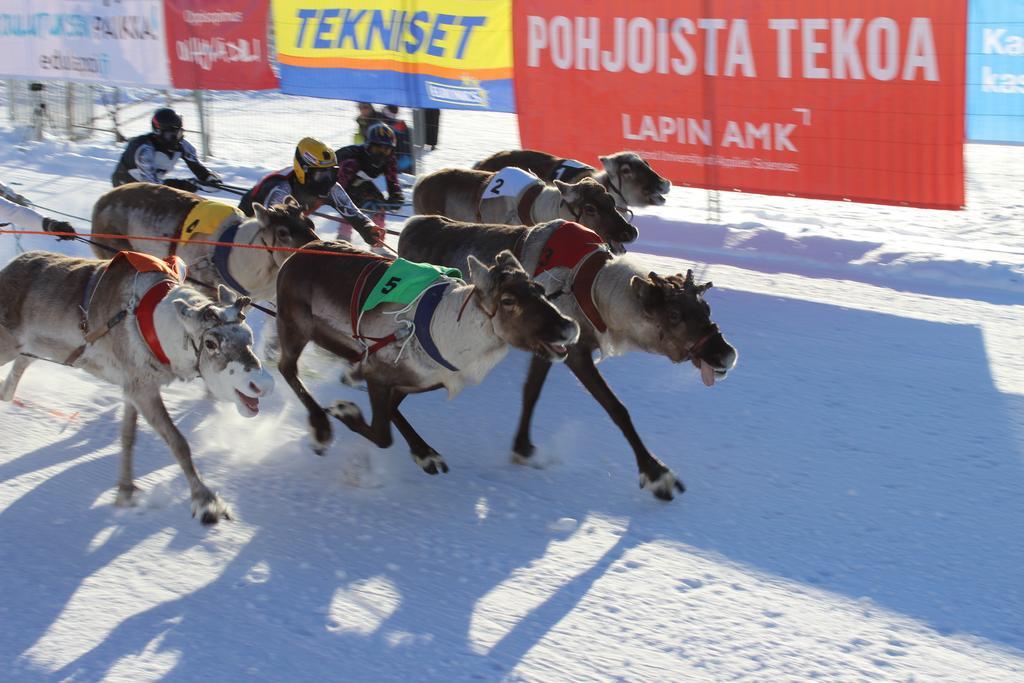 Guesthouse Arctic Heart Rovaniemi Bagian luar foto